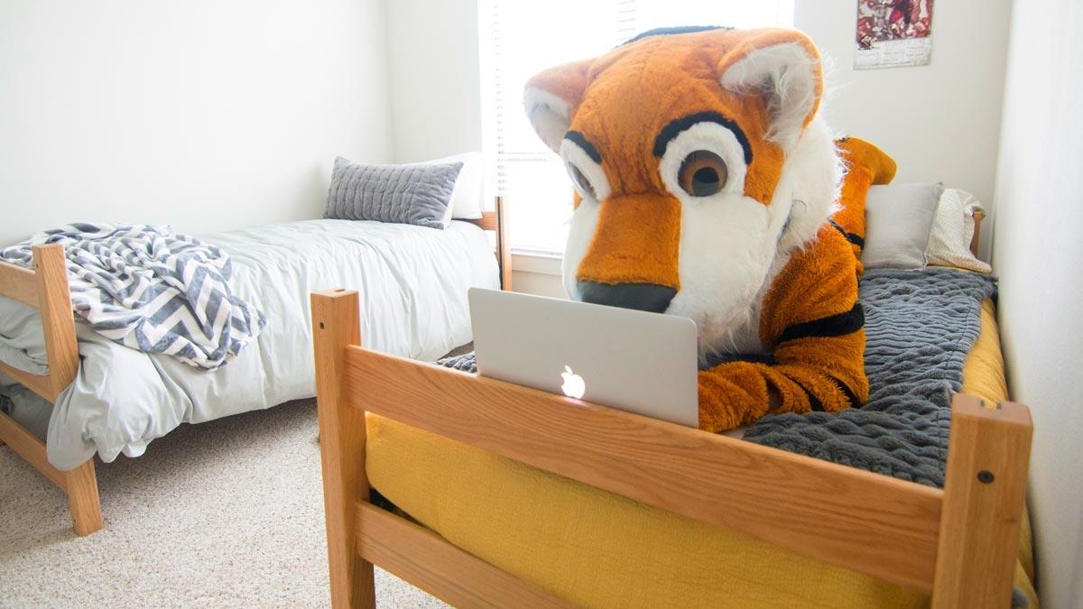 Leeroy the Mascot studying on a dorm room bed.